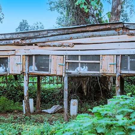 Karisimbi Cave Resort Ruhengeri Bagian luar foto