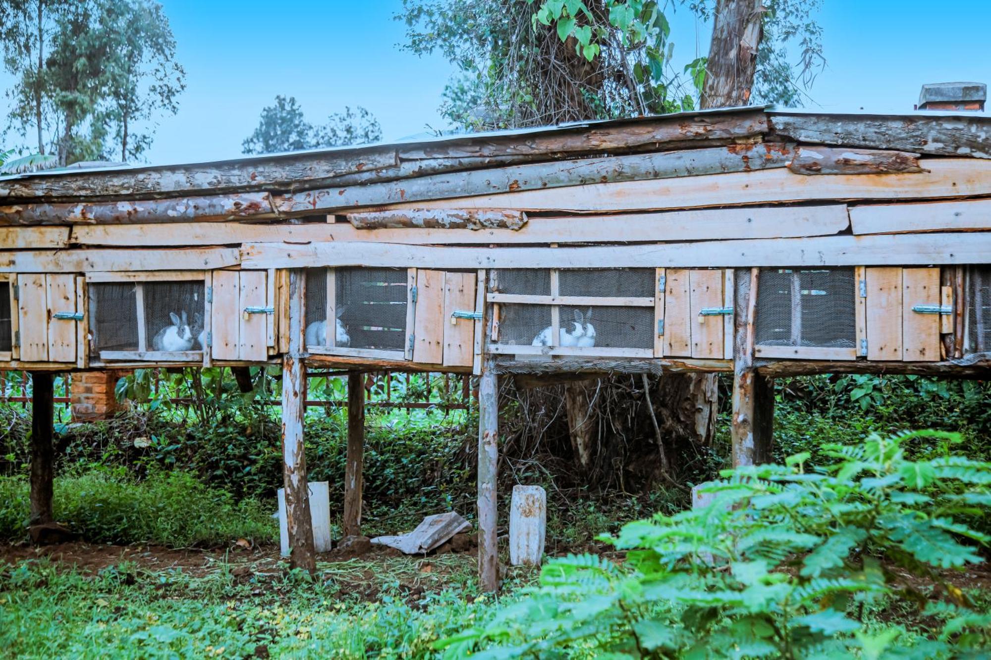 Karisimbi Cave Resort Ruhengeri Bagian luar foto